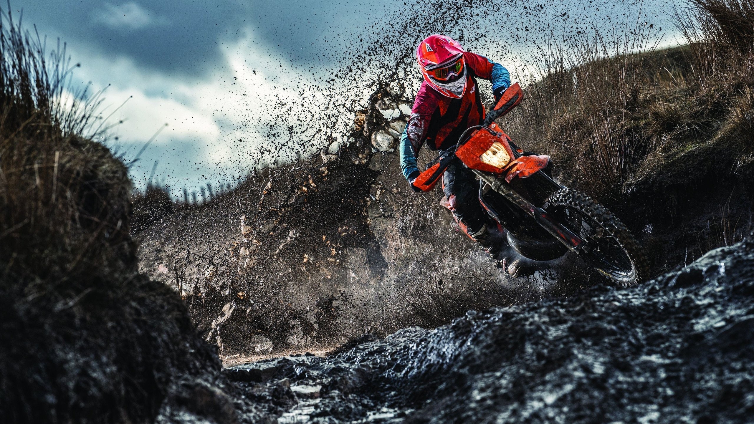 2026年全球赛车电竞耐力赛 中国虚拟车队首度封王